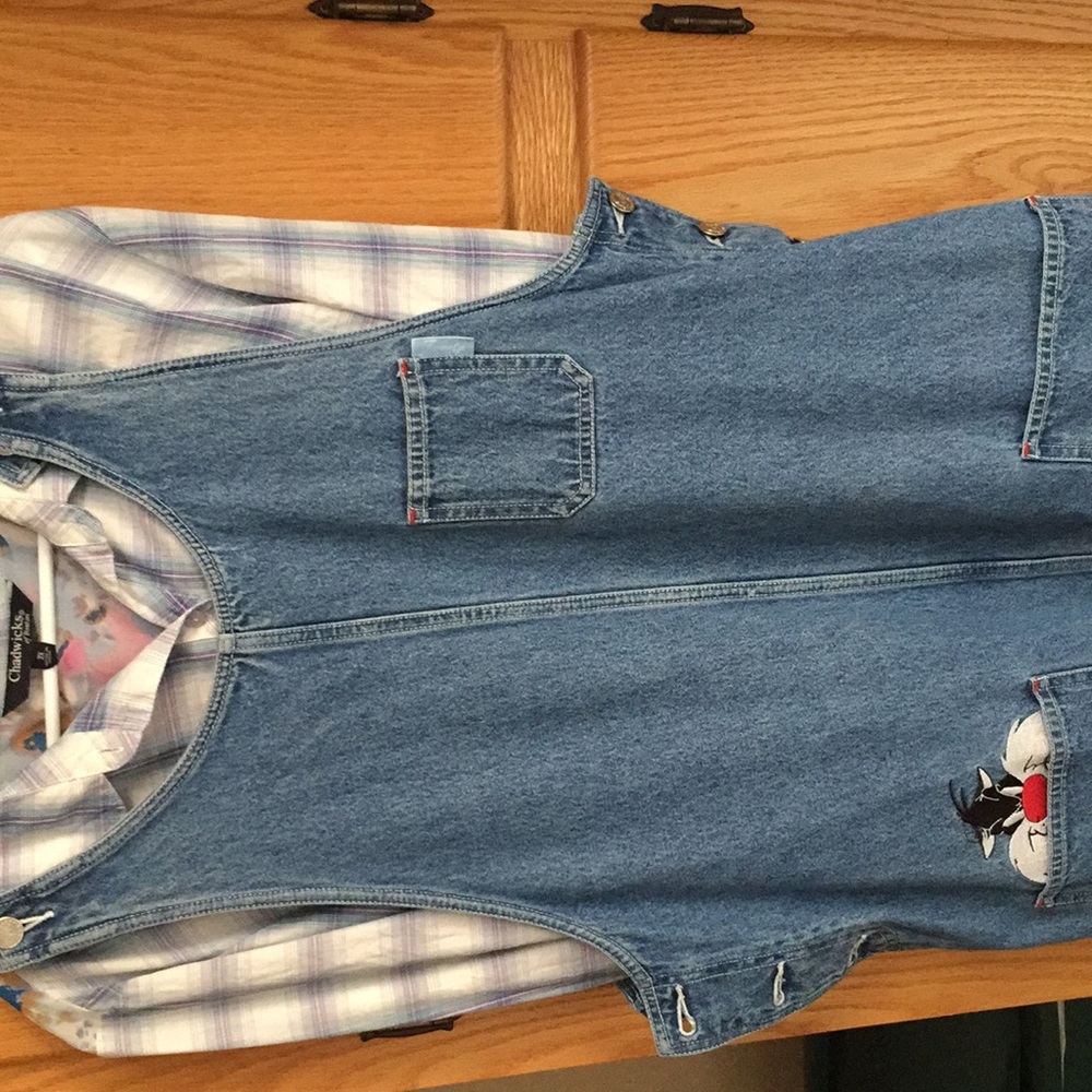 Women’s 18W denim looney tunes tweety dress